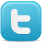 Twitter Icon